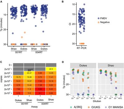 Detection of foot-and-mouth disease virus RNA using a closed loop-mediated isothermal amplification system
